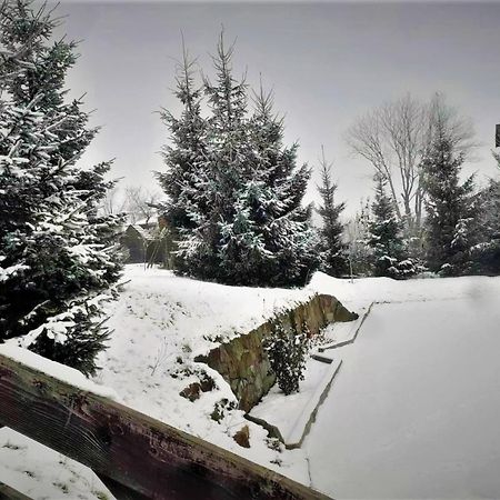 Cottage Ozerniy ラーゼシュチュナ エクステリア 写真