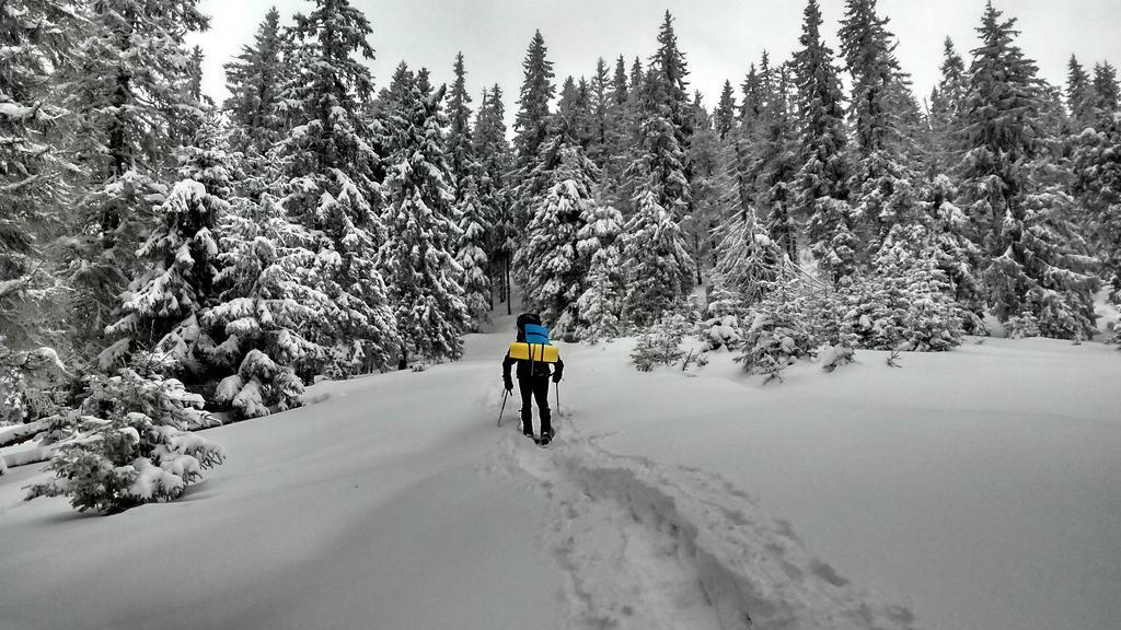 Cottage Ozerniy ラーゼシュチュナ エクステリア 写真